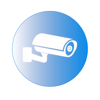 Intelligent Video Monitoring